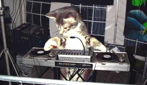 I wouldn't use a lolcat unless it would demonstrate the fake DJ in its splendor :)